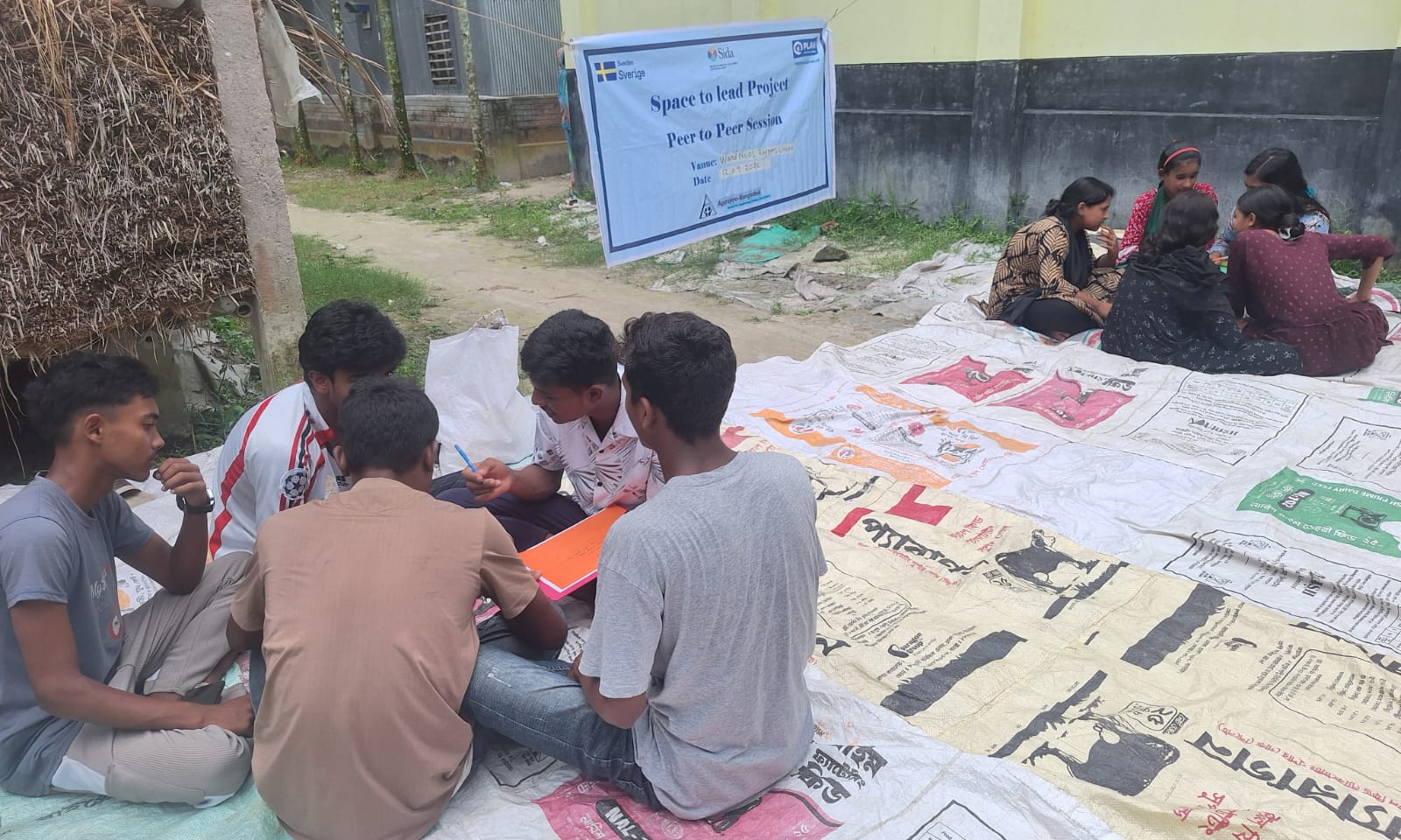 SDSGY Project Activity